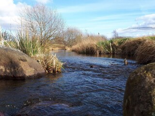 Ferienhaus Thorning  40