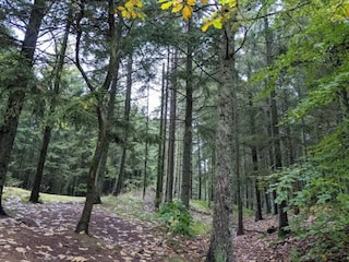 Holiday house Skarrild  2