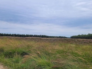 Vakantiehuis Skarrild  31