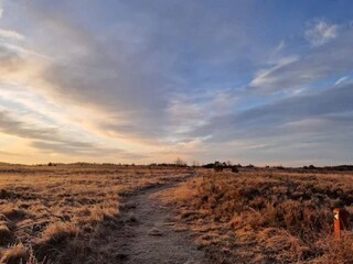 Casa per le vacanze Skarrild  46