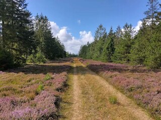 Casa per le vacanze Skarrild  47