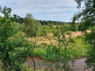 Holiday house Skarrild  15