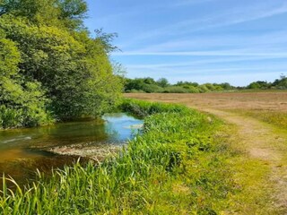 Casa per le vacanze Skarrild  50