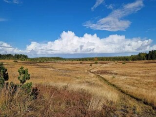 Vakantiehuis Skarrild  50