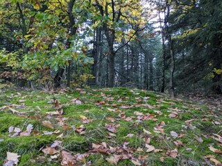 Casa de vacaciones Skarrild  29