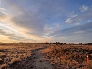 Maison de vacances Skarrild  21