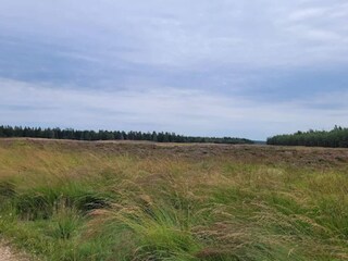 Ferienhaus Skarrild  37