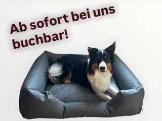 Ferienwohnung Fehmarnsund Außenaufnahme 36