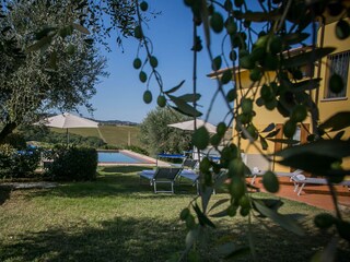 Villa Candelara Registrazione all'aperto 4