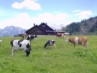 Appartamento per vacanze St. Martin bei Lofer Ambiente 26