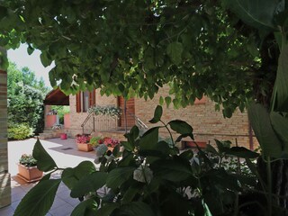 Casa per le vacanze Pollenza Registrazione all'aperto 9