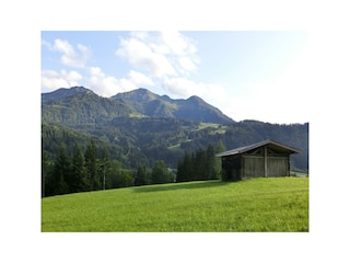 Sommer im Pillerseetal