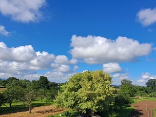 Holiday apartment Baden-Baden Features 31