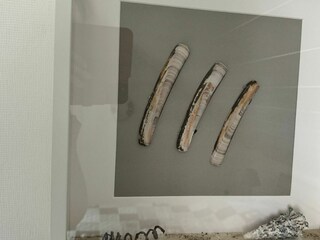 Casa per le vacanze Hooksiel Registrazione all'aperto 9