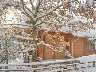 Chalet Mitterberg-Sankt Martin Außenaufnahme 9