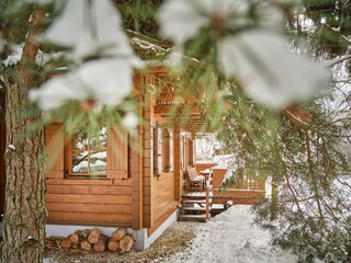 Chalet Mitterberg-Sankt Martin Außenaufnahme 10