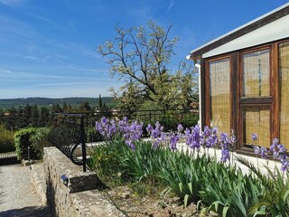 Villa Fayence Außenaufnahme 11