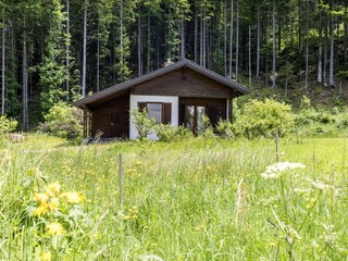 Vakantiehuis Ferlach Buitenaudio-opname 1