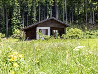 Casa de vacaciones Ferlach Grabación al aire libre 1