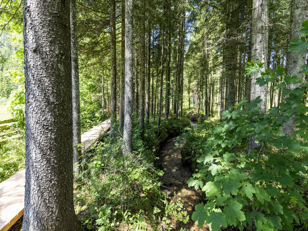 Ferienhaus Ferlach Umgebung 30