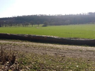 Appartement Nieheim Environnement 17