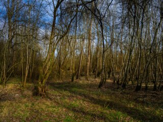 Appartement Nieheim Omgeving 24