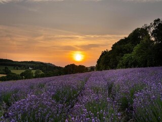 Appartement Nieheim Environnement 34