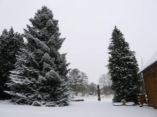 Appartamento Nieheim Ambiente 25