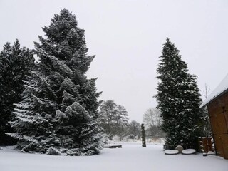 Appartamento Nieheim Ambiente 33