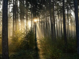 Appartamento Nieheim Ambiente 27