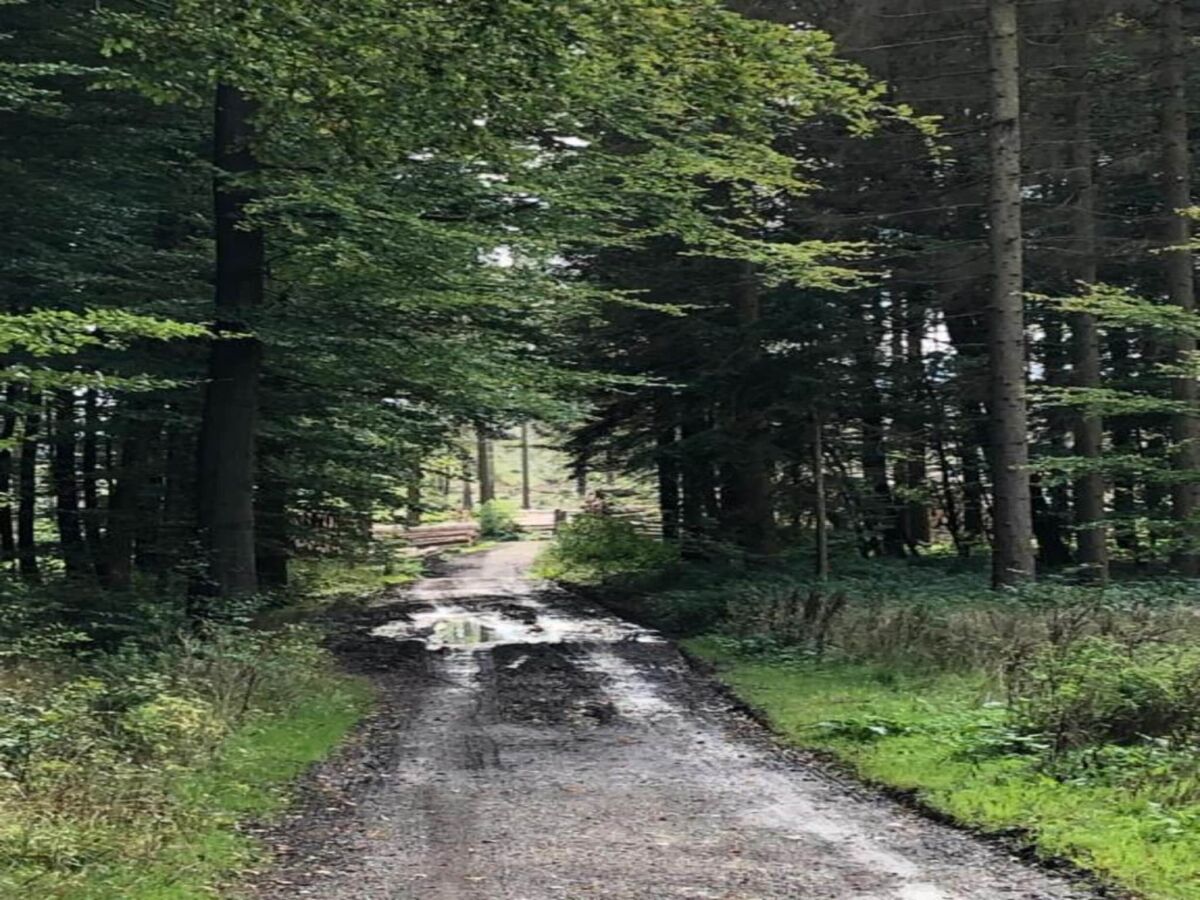 Apartamento Nieheim Entorno 21