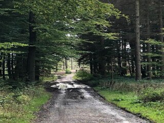 Appartement Nieheim Omgeving 22