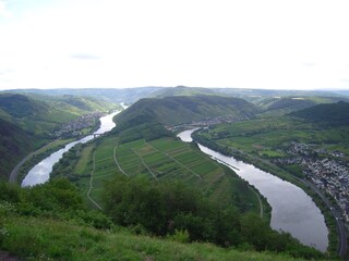 Moselschleife - Aussichtspunkt Calmont