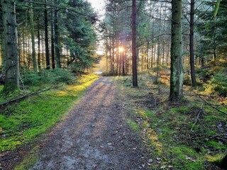 Casa de vacaciones Rødhus  15