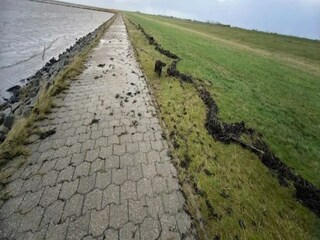 Bungalow Dornumersiel Omgeving 30