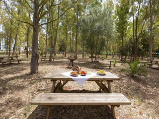 Apartment Salice Salentino Outdoor Recording 4