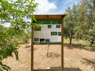 Apartment Salice Salentino Outdoor Recording 11