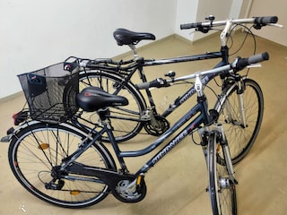 Ferienwohnung Zempin Ausstattung 4