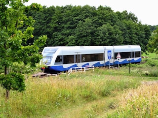Usedomer Bäderbahn - mit Kurkarte für Sie kostenfrei