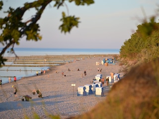 Ostseestrand von Zempin