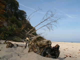 Steilküste Ostseebad Koserow