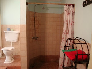 Shower and wc