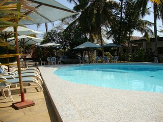 Swimming pool and bar area