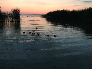 Ferienwohnung Rechlin Außenaufnahme 24