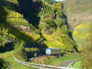 Steillage Reil mit Zug
