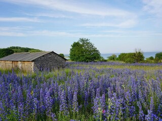 Casa per le vacanze Lärbro  23