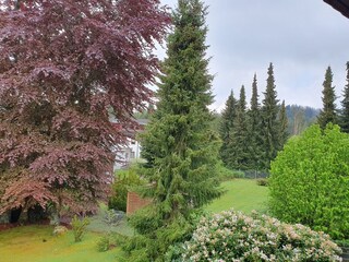 der Blick vom Balkon