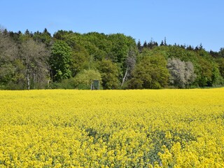Natur