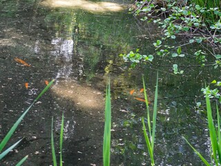 Vakantiehuis Hornbæk  17