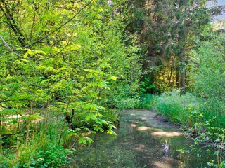Vakantiehuis Hornbæk  44